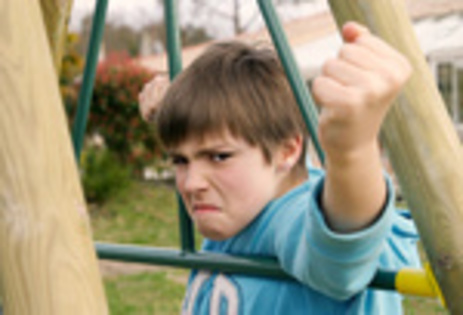 TRAINING CHILDREN AND ADOLESCENTS IN ANGER MANAGEMENT