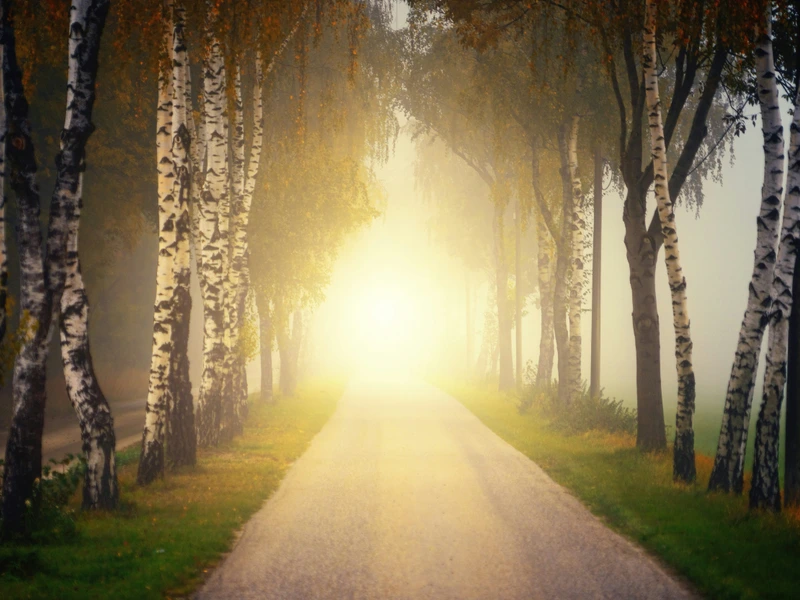 Sacred Pathways to Addiction Recovery: Expanding Spirituality in Clinical Practice