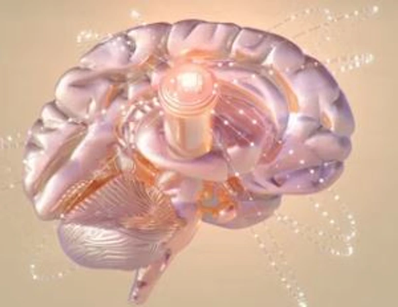 The Neurobiology of Attachment Trauma and its Therapeutic Applications