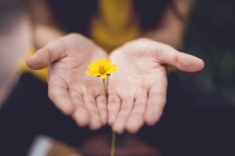 You Don't Have to Be a Sex Therapist: Essential Skills for Addressing Couples' Sexual Concerns in Clinical Practice